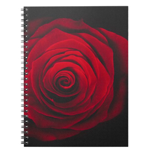Red rose on black background vintage effect notitieboek (Voorkant)