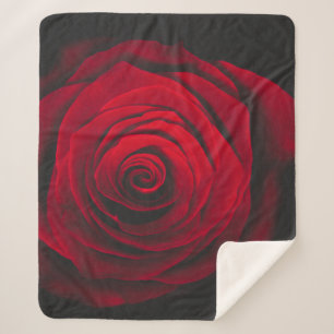 Red rose on black background vintage effect sherpa deken