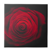 Red rose on black background vintage effect tegeltje (Voorkant)