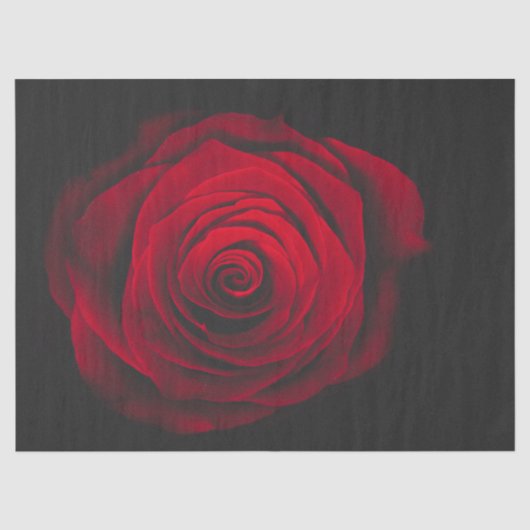 Red rose on black background vintage effect tissuepapier (Voorkant)