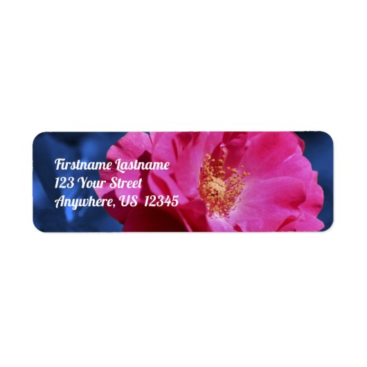 Red Rose on Blue Tint Flower Address Etiket (Voorkant)