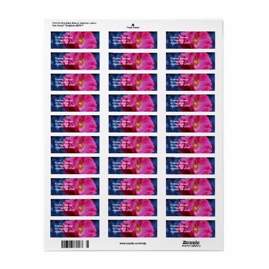 Red Rose on Blue Tint Flower Address Etiket (Full Sheet)