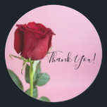 Red Rose on Pink Elegant Romantic Ronde Sticker<br><div class="desc">Pas aan met om het even welke tekst. Overeenkomende objecten zijn beschikbaar.</div>