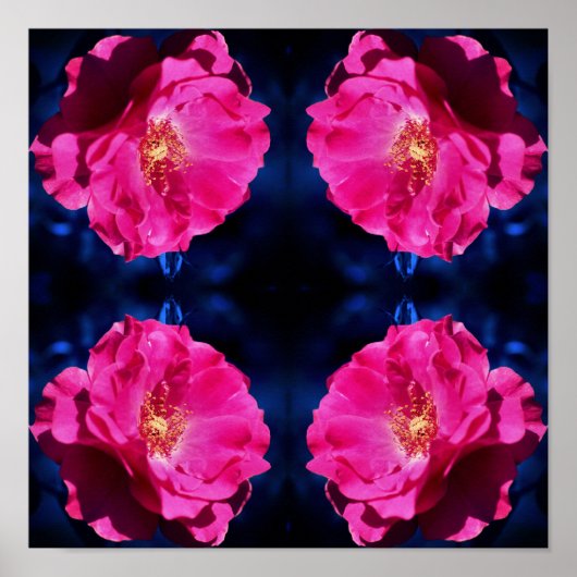 Red Rose op Blue Tint Abstracte ventilator Poster (Voorkant)