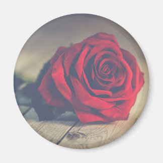 Red Rose op houten vloerplanken Art Print Magneet