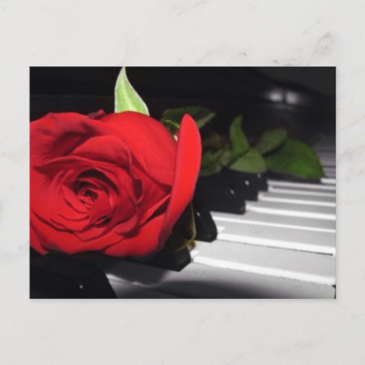 Red Rose op Piano Briefkaart (Voorkant)