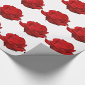 Red Rose op White Cadeaupapier (Hoek)