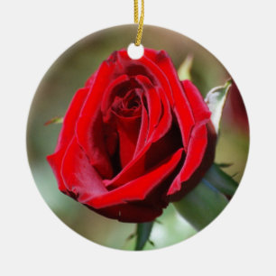 Red Rose Ornament