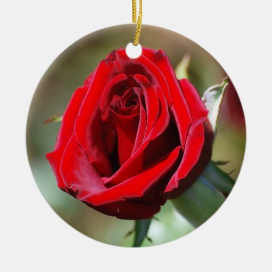 Red Rose Ornament (Voorkant)