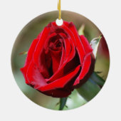 Red Rose Ornament (Achterkant)