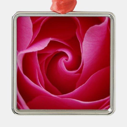 Red Rose Ornament (Voorkant)