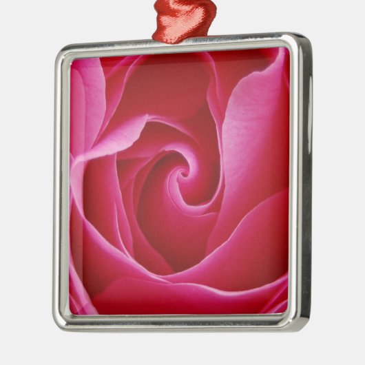 Red Rose Ornament (Links)