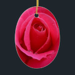 Red Rose Ornament Romantic Roos Decorations<br><div class="desc">Romantic Roos Ornamenten Holiday Red Rose Classic Decorations Beauful Romantic kerstcadeautjes Hanukkah Neutral Holiday Decorations Keepsakes & Gifts for Jubileum Birthday Friends Family Mannen Vrouwen Kinder thuis en Kantoor Stijlvolle feestelijke kunstdecoraties Vakantiekerst/Hanoeka Kaarten & niet-seculiere feestdagen Fts Design van Kim Hunter. Surf naar www.kimhunter.ca voor nog veel meer Kaarten en...</div>