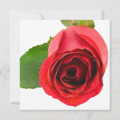 Red Rose over de uitnodiging van de Partij voor he (Achterkant)