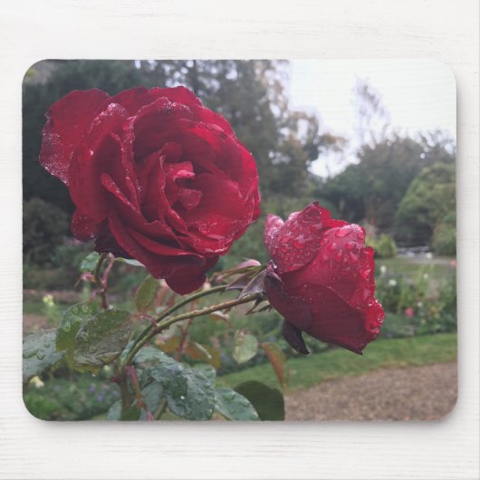 Red Rose Pair Muismat (Voorkant)