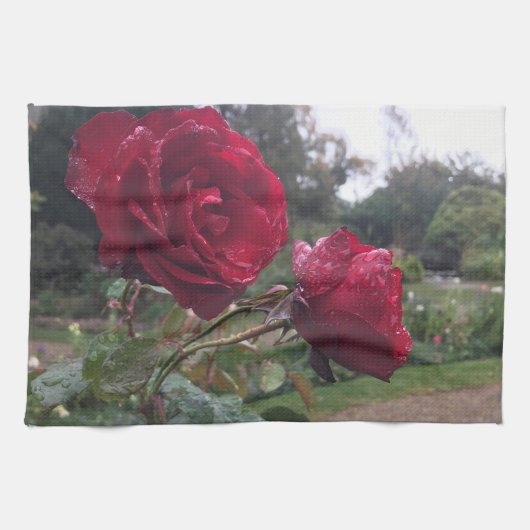 Red Rose Pair Theedoek (Horizontaal)