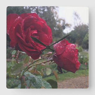 Red Rose Pair Vierkante Klok