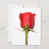 Red Rose Party Uitnodiging (Achterkant)