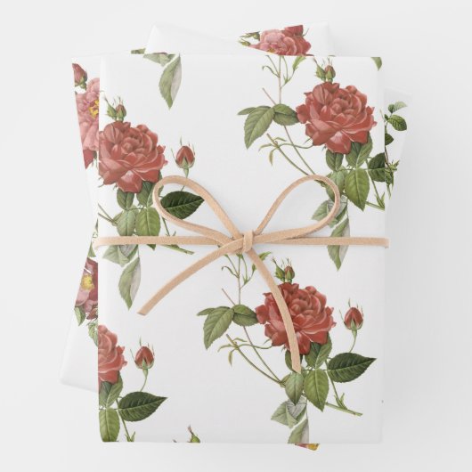 Red Rose Pattern Inpakpapier Vel (In situ)