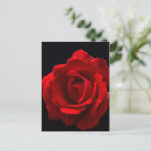 Red Rose pccnm Briefkaart (Staand voorkant)