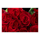 Red Rose Perfect Poster (Voorkant)