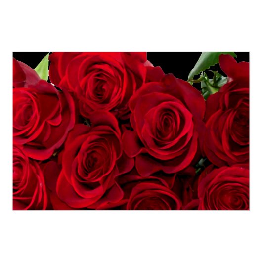 Red Rose Perfect Poster (Voorkant)