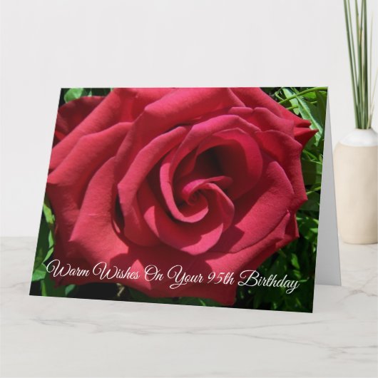 Red Rose Personalized 95th Birthday Kaart (Voorkant)