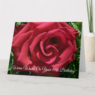 Red Rose Personalized 95th Birthday Kaart