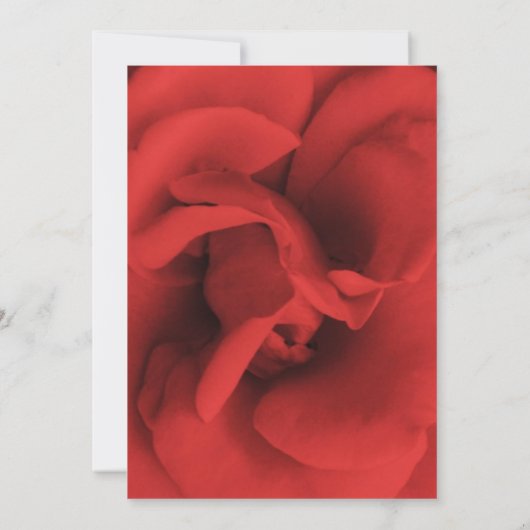 Red Rose Petals Elegant Wedding Invitations Kaart (Achterkant)