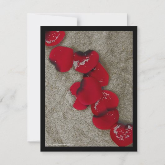 Red Rose Petals op Zand Beach Wedding Save The Date (Achterkant)