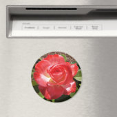 Red Rose Photo Circle Magnet (Insitu (Vaatwasser))