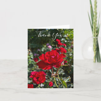 Red Rose Photography Folded Thank You Card Bedankkaart