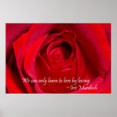 Red Rose Poster (Voorkant)