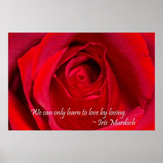 Red Rose Poster (Voorkant)