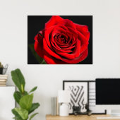 Red Rose Poster (Thuiskantoor)