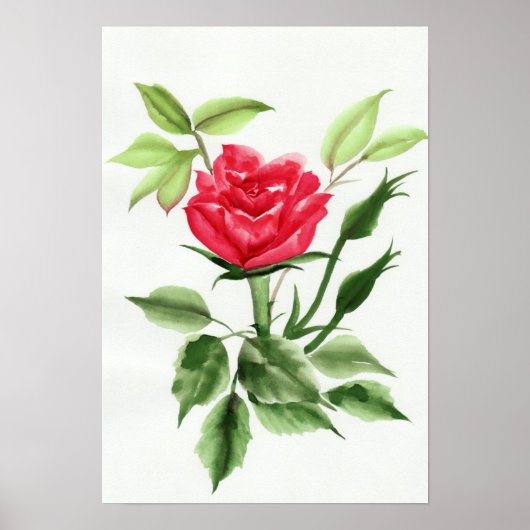 Red Rose Poster (Voorkant)