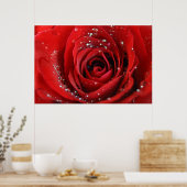 Red Rose Poster (Keuken)