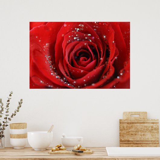 Red Rose Poster (Keuken)