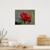 Red Rose Poster (Keuken)