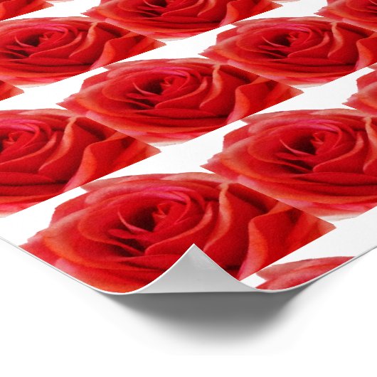 Red Rose Poster (Hoek)