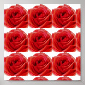 Red Rose Poster (Voorkant)
