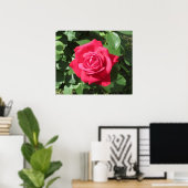 Red Rose Poster (Thuiskantoor)