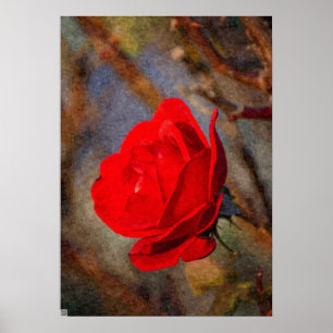 Red Rose Poster