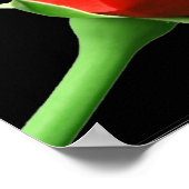 Red Rose Poster (Hoek)