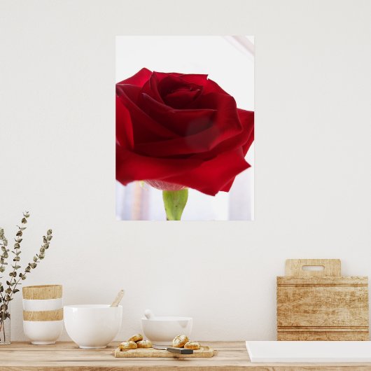 Red Rose Poster (Keuken)