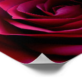 Red Rose Poster — Afdruk prachtige, langwerpige Ar (Hoek)