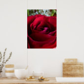 Red Rose Poster — Afdruk prachtige, langwerpige Ar (Keuken)