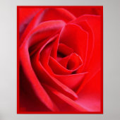 Red Rose Poster — Afdruk prachtige, langwerpige Ar (Voorkant)