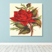 Red Rose Premium Verpakt Canvas (Glans) (Insitu (Houten vloer))