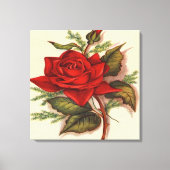 Red Rose Premium Verpakt Canvas (Glans) (Voorkant)
